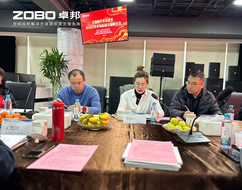 共築智控新生態 | 2025音視頻聲光電技術融合與市場拓展研討會在ZOBO免费看片TV下载召開