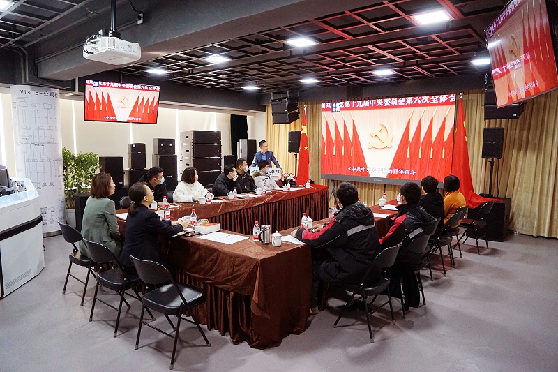 ZOBO免费看片TV下载黨支部丨開展“學習貫徹黨的十九屆六中全會精神”主題黨日活動