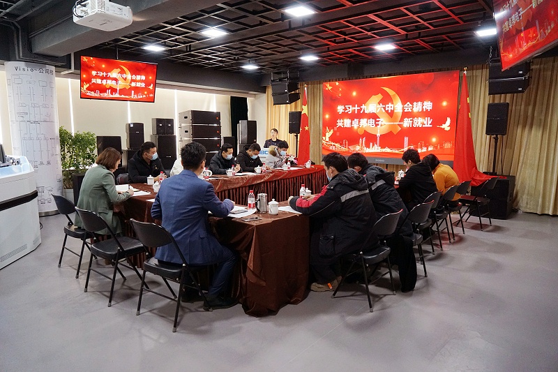 ZOBO免费看片TV下载黨支部丨開展“學習貫徹黨的十九屆六中全會精神”主題黨日活動
