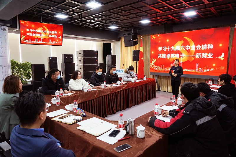 ZOBO免费看片TV下载黨支部丨開展“學習貫徹黨的十九屆六中全會精神”主題黨日活動