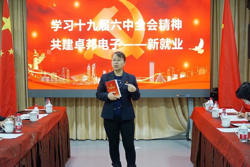 ZOBO免费看片TV下载黨支部丨開展“學習貫徹黨的十九屆六中全會精神”主題黨日活動