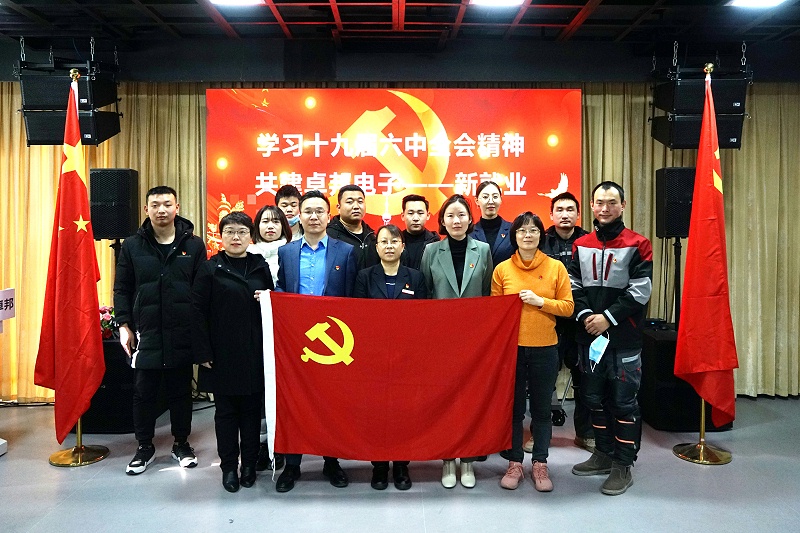 ZOBO免费看片TV下载黨支部開展“學習貫徹黨的十九屆六中全會精神”主題黨日活動