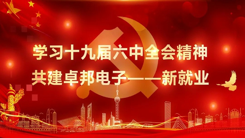 ZOBO免费看片TV下载黨支部丨開展“學習貫徹黨的十九屆六中全會精神”主題黨日活動