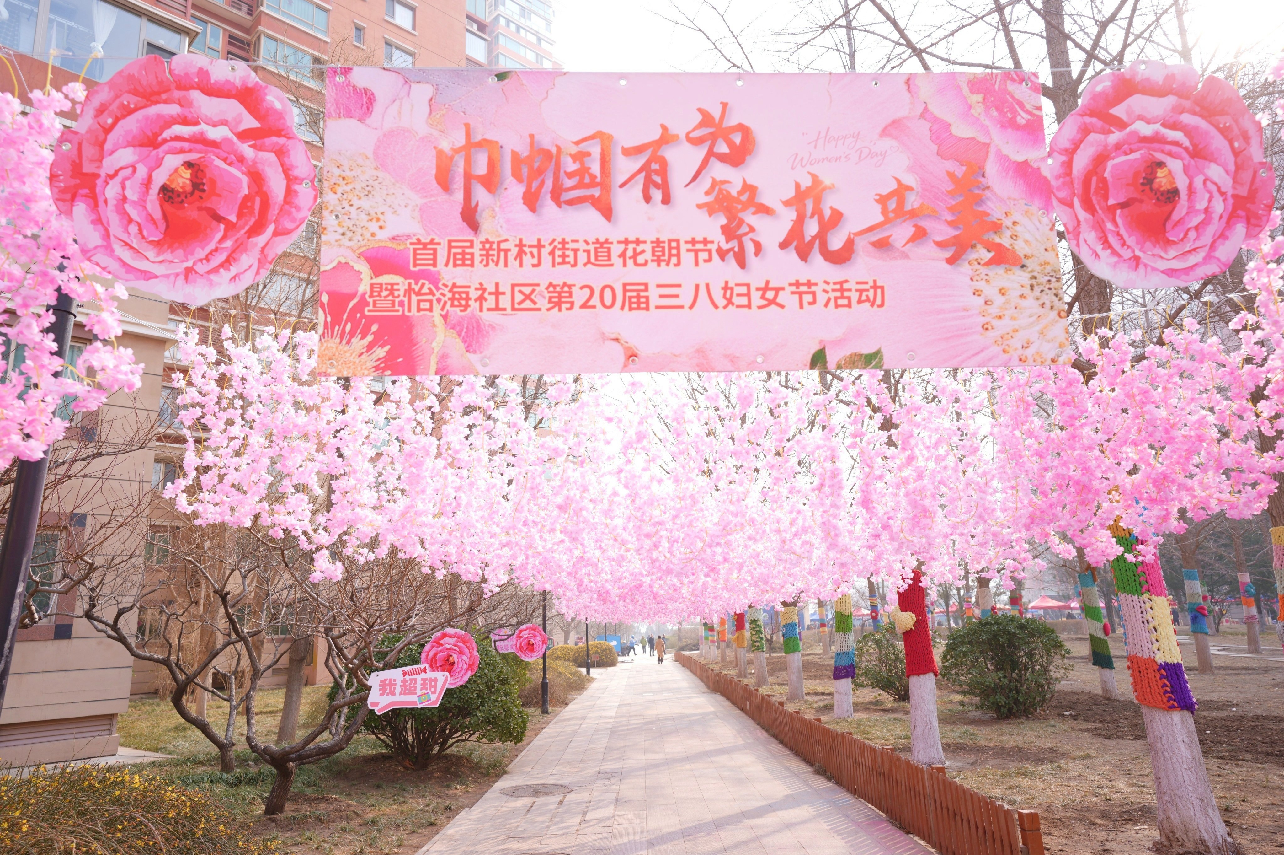 声绽芳华，音伴花朝｜ZOBO 免费看片TV下载蒙特宝海神 10 助力怡海社区第二十届妇女节盛典