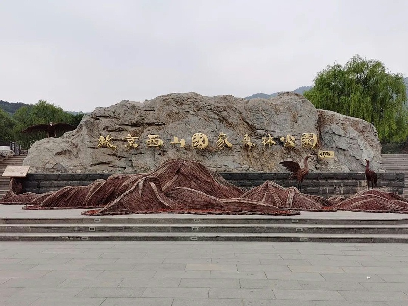 “緬懷先烈 傳承初心”—ZOBO免费看片TV下载黨支部參觀無名英雄紀念碑活動