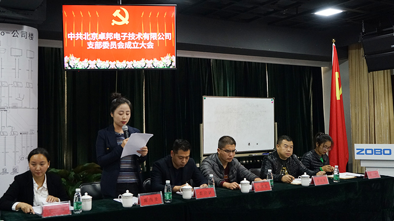 中共北京免费看片TV下载電子技術有限公司支部委員會成立