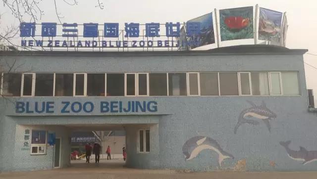案例 ▎ZOBO免费看片TV下载為富國海底世界打造音視頻係統